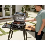 گریل نینجا مدل OG901 - Image 3